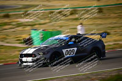 media/Feb-25-2024-Speed Ventures (Sun) [[b9a2a97a4d]]/Mustang Drivers Club/Session 2 (Turn 6)/